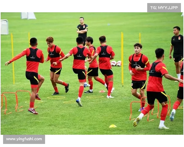 归化球员难回中超的深层原因剖析与中国足球发展困境探讨